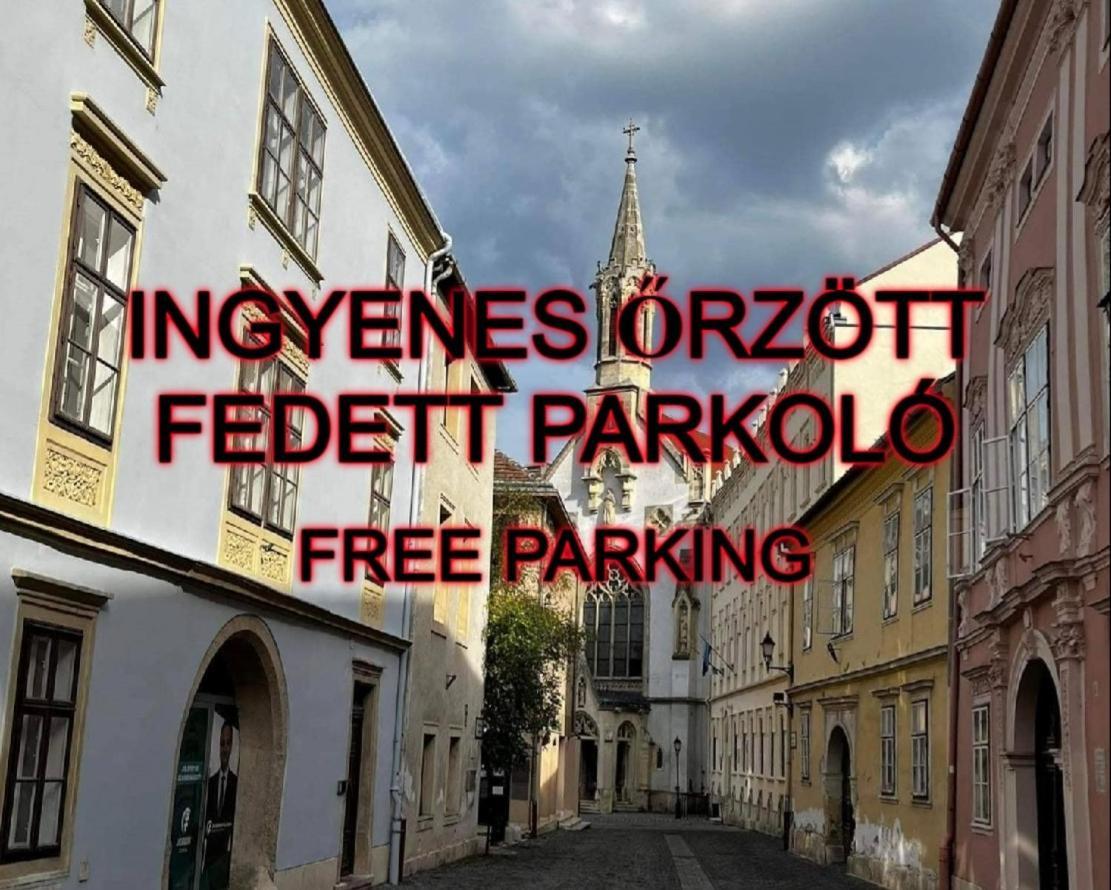 Varga Sopron